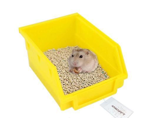 仓鼠的理想猫砂选择（如何选择适合仓鼠使用的猫砂）
