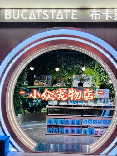 小众宠物｜布卡星小众宠物乐园