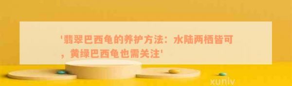 '翡翠巴西龟的养护方法：水陆两栖皆可，黄绿巴西龟也需关注'