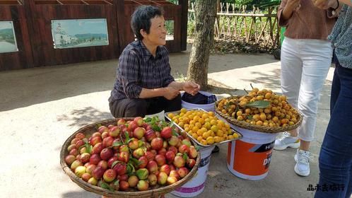 5块一斤，老太太自己家种的枇杷，非常新鲜