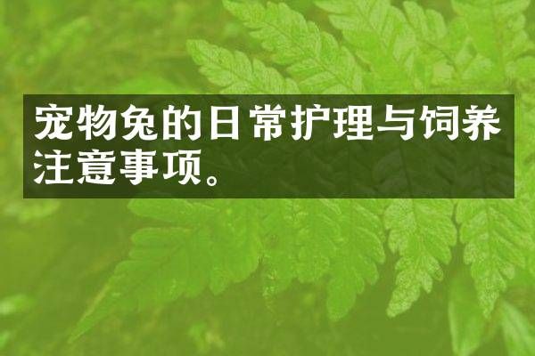 宠物兔的日常护理与饲养注意事项。