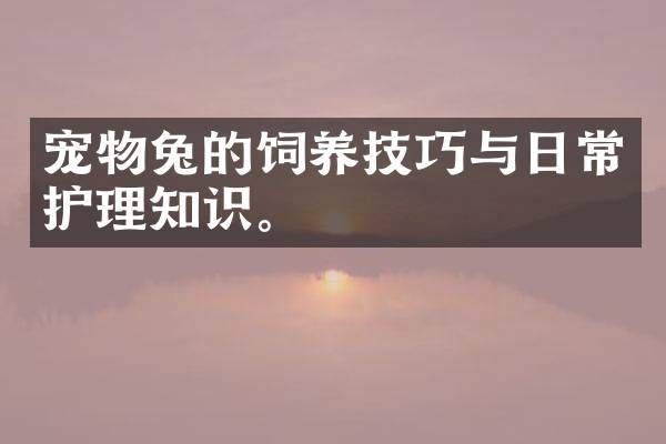 宠物兔的饲养技巧与日常护理知识。