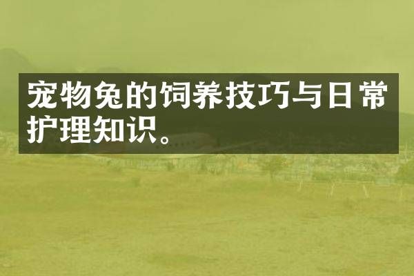 宠物兔的饲养技巧与日常护理知识。