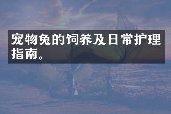 宠物兔的饲养及日常护理指南。