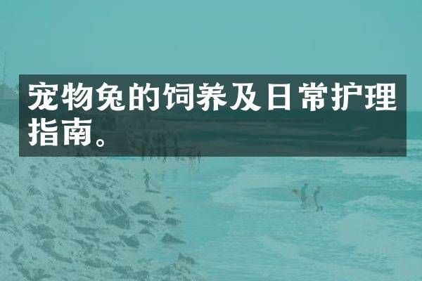 宠物兔的饲养及日常护理指南。