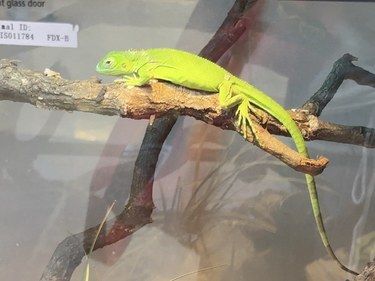 啊啊啊啊好多爬宠啊