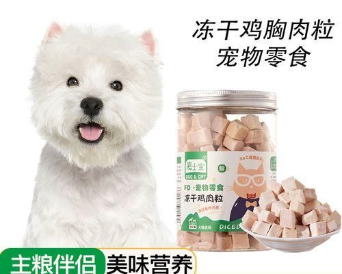 用工具训练你的宠物狗，让它成为最优秀的伙伴（用简单有效的工具）