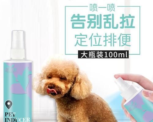 用工具训练你的宠物狗，让它成为最优秀的伙伴（用简单有效的工具）