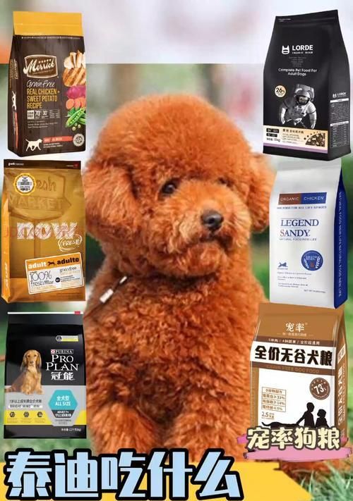 营养均衡，贵宾犬才能长个子（探究贵宾犬的饮食搭配和生长发育关系）