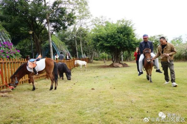 萌宠乐园南宁马山，一个充满欢乐与温馨的家庭娱乐胜地
