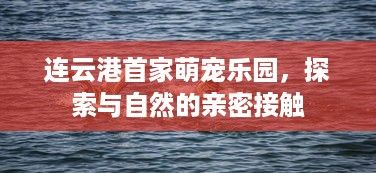 连云港首家萌宠乐园，探索与自然的亲密接触