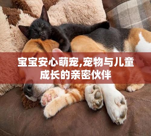 宝宝安心萌宠,宠物与儿童成长的亲密伙伴