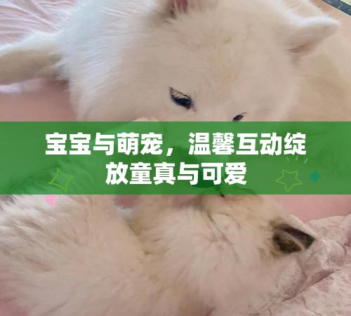宝宝与萌宠，温馨互动绽放童真与可爱
