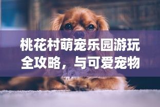 桃花村萌宠乐园游玩全攻略，与可爱宠物共度欢乐时光