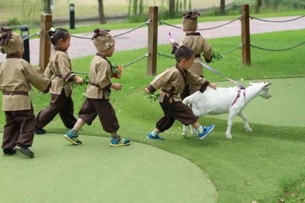 斗龙萌宠乐园，让生活充满欢乐与惊喜
