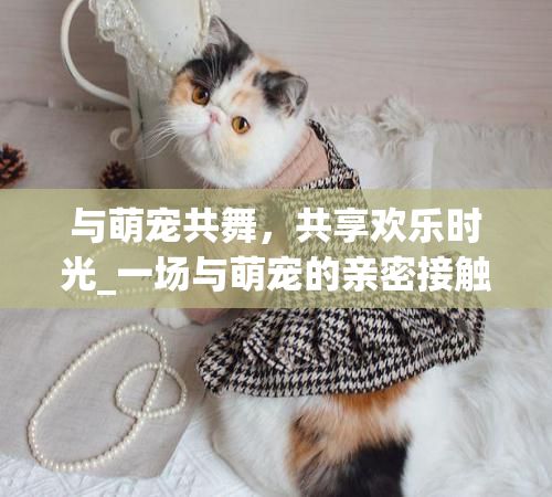 与萌宠共舞，共享欢乐时光_一场与萌宠的亲密接触之旅