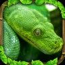 蟒蛇模拟器(Snake Sim)
