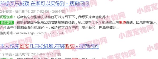 猴子购买渠道