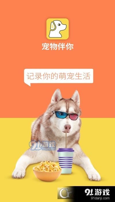 四喜幼鸟宠物喂养指南，轻松养出健康鸟儿
