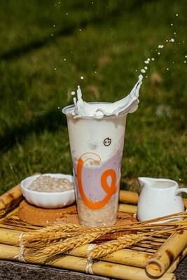 　　鲜芋青稞牛奶
