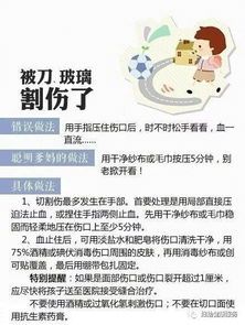 宠物受伤处理方法,仓鼠伤口急救指南