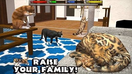 终极猫模拟器中文破解版 v1.1 安卓最新版 1