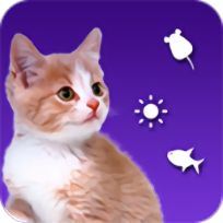 逗猫的软件