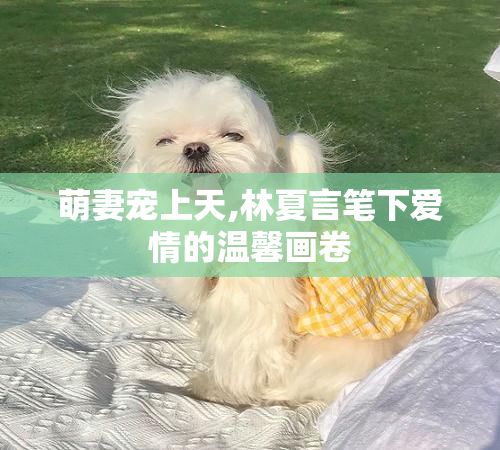 萌妻宠上天,林夏言笔下爱情的温馨画卷