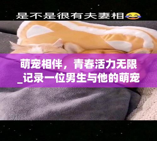萌宠相伴，青春活力无限_记录一位男生与他的萌宠照片头像