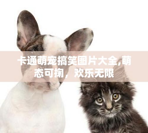 卡通萌宠搞笑图片大全,萌态可掬，欢乐无限