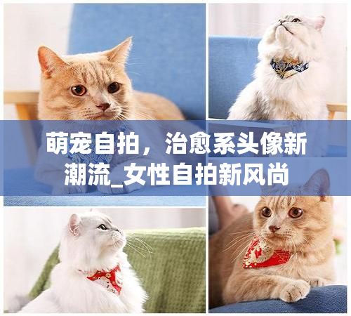 萌宠自拍，治愈系头像新潮流_女性自拍新风尚