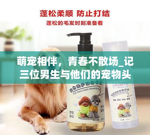 萌宠相伴，青春不散场_记三位男生与他们的宠物头像