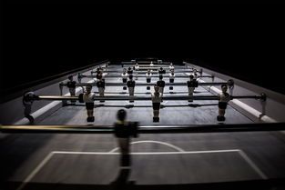 深圳亲子室内萌宠乐园游玩攻略