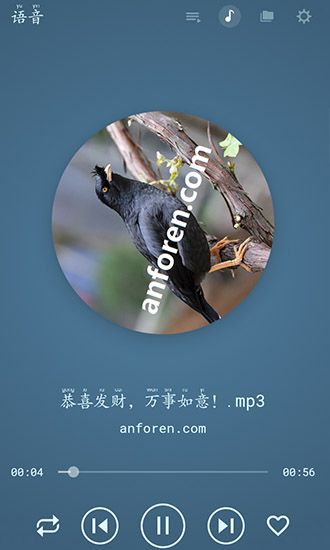 八哥说话教语专家