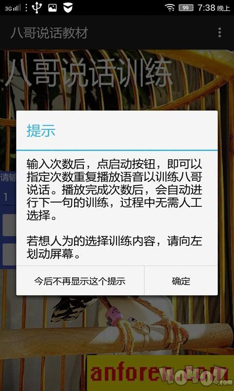 八哥说话教语专家