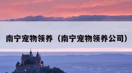 南宁宠物领养（南宁宠物领养公司）