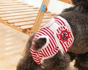 狗狗避孕指南（宠物主人必备的避孕常识）