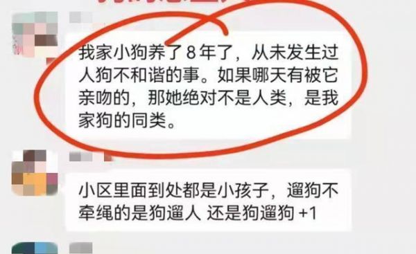 养狗技能全掌握！（宠物主人必备的15项技能，让你成为贴心宠物管家）