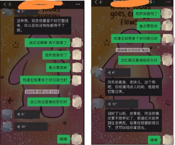 鲍女士求助初期的聊天记录（受访者供图）