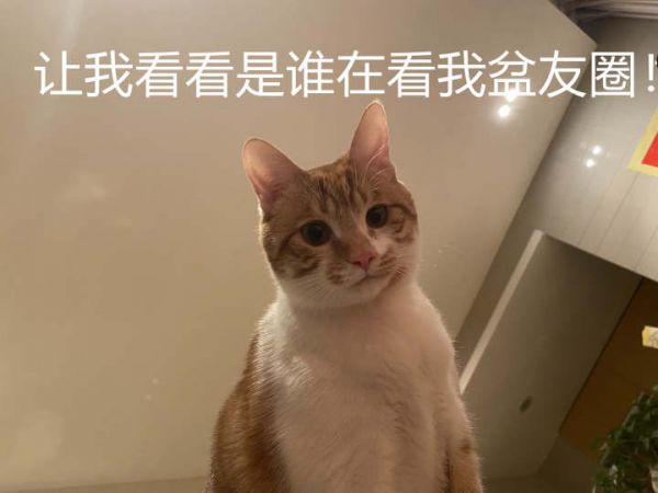 8e51d2efefcaa9bdf27c4bf1b154ec0.jpg