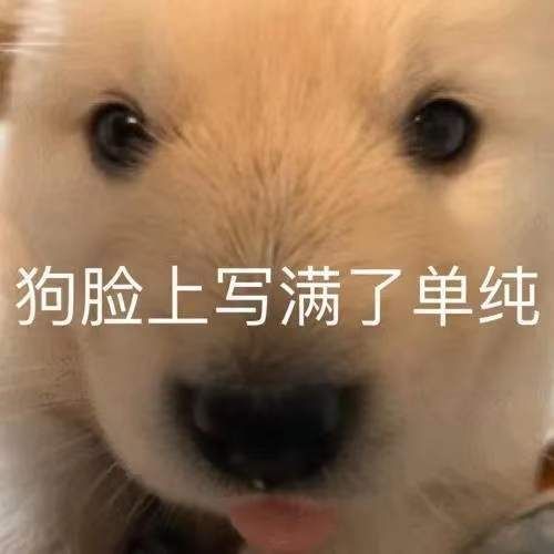 d54124c8a3a0493c2a991d3eccf1d3b.jpg
