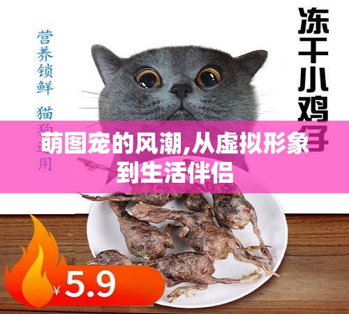 萌图宠的风潮,从虚拟形象到生活伴侣