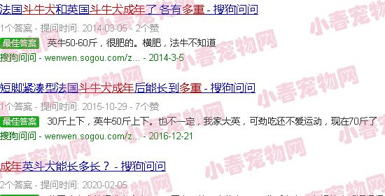 斗牛犬成年多重