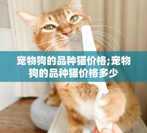 宠物狗的品种猫价格;宠物狗的品种猫价格多少