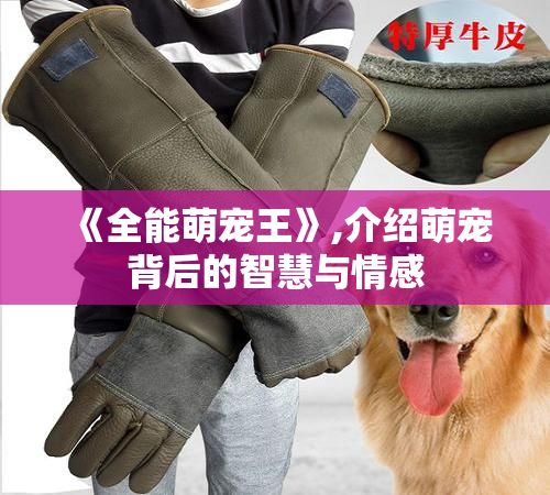 《全能萌宠王》,介绍萌宠背后的智慧与情感