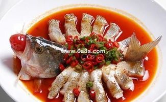 揭秘宠物鱼的藻类美食：健康又美味的选择！