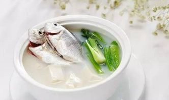 宠物吃鱼食，健康又营养！