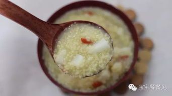 揭秘宠物鱼的美味食谱：营养全面，健康饲养指南！