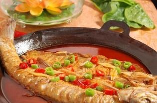 揭秘宠物鱼的美味食谱：营养全面，健康饲养指南！