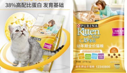 幼猫罐头食用指南,轻松喂食,营养满分!